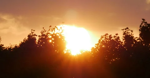 Large Golden Sun at Sunset Setting Behind Trees 10bit Prores HQ, 4K Stock Footage 67408645