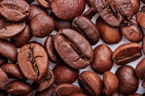 Large grain of coffee on a white background isolated Stock Photos