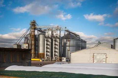 Large grain elevator with multiple cylindrical metal silos, structural elemen 스톡 사진