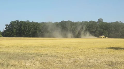 A large grain field with a green forest. A combine harvester drives in the back Stock-Footage 124641672