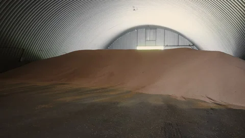 Large Grain Pile Stored Inside Agricultural Warehouse. Stock Footage 346798318