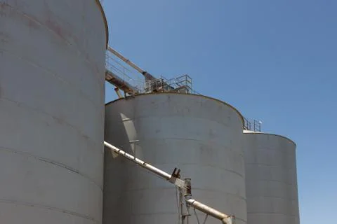 Large Grain Silos Stock Photos