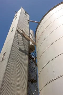 Large Grain Silos Stock Photos