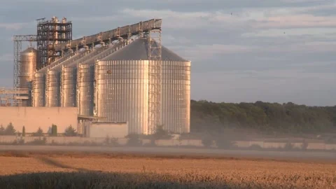 Large grain storage tanks and wheat field and combine CLAAS harvester Stock Footage 201029805