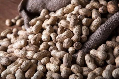 Large grains of peanuts in the shell and the bag Stock-Fotos