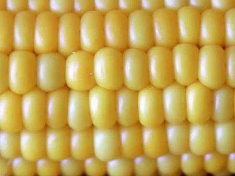 Large grains of ripe corn Stock Photos