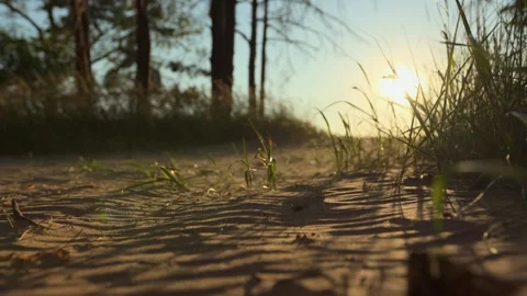 Large grains of sand in a sandstorm Stock Footage 246958398