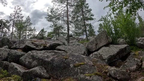 Large granite boulder field and pine trees on Aavasaksa hill Lapland Finland Stock Footage 340653424