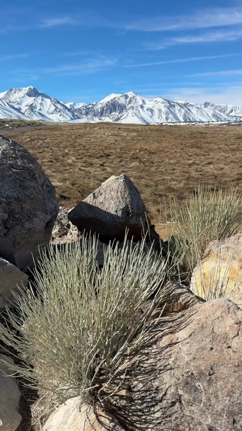 Large Granite Boulders with Snow-Capped Mountains Stock-Footage 331035165