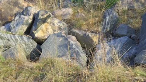Large granite stones of various shapes lying at foot of mountain. Stock Footage 252125672