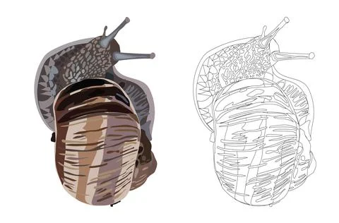 Large grape snail. Doodle style, realism, coloring book for children. Vector Illustrazione stock
