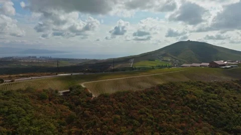 Large grape terroir on top of a hill in a picturesque location. Stock Footage 268747715