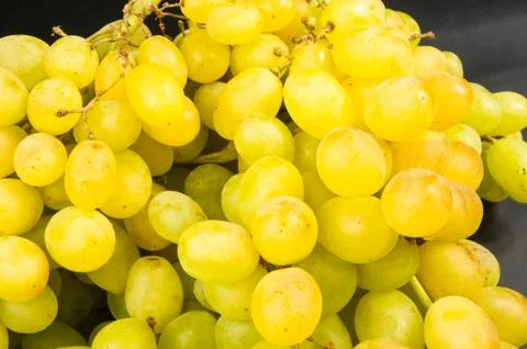 Large grapes cluster Stock Photos