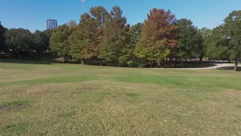 Large grass area inside Sam Houston Park in Houston, TX Stock Footage 281685678