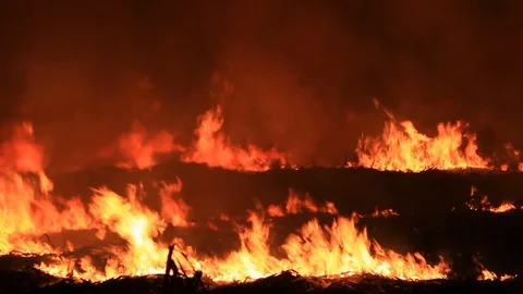 Large grass fire in the field at night Vídeo Stock 85685794