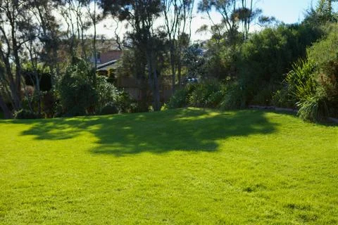 Large Grass lawn Stock Photos