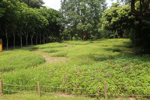 A large grassy field surrounded by trees and flowers, with paths leading to.. Stock Photos