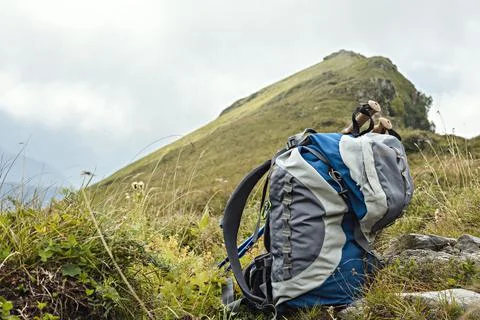 Large gray blue hiking backpack, trekking poles among green plants in mountains Stock Photos