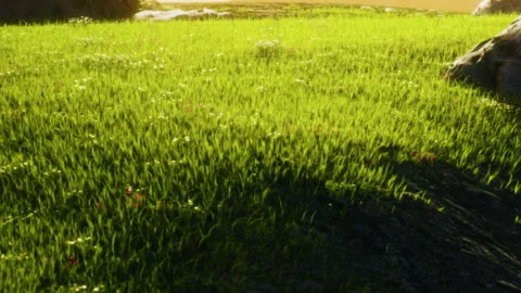 Large Gray Boulder Resting on a Sunny Grassy Hill During the Afternoon Light Stock Footage 348246672