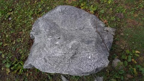 Large gray granite boulder with rough texture on short green grass, stable. Stock Photos