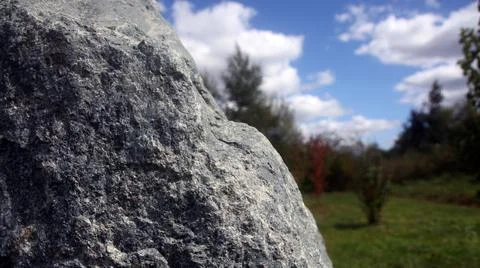 Large gray stone on the background of the park Stock Photos