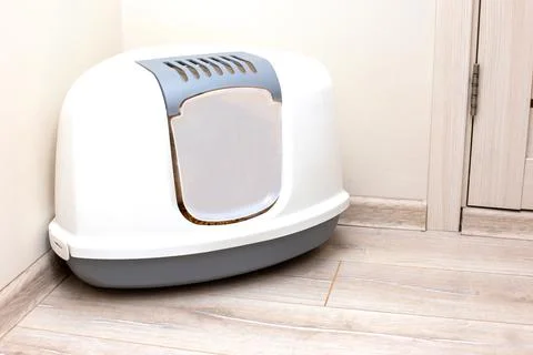 A large, gray, triangular plastic, enclosed litter box for a cat Stock Photos