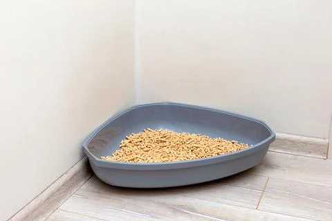 A large gray triangular plastic litter box for a cat Stock Photos