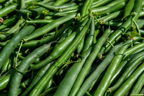 Large green beans, close-up. Stock Photos