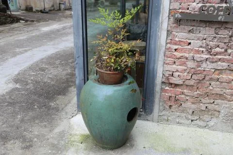 Large green ceramic planter with potted shrub beside brick wall and glass d.. Stock Photos