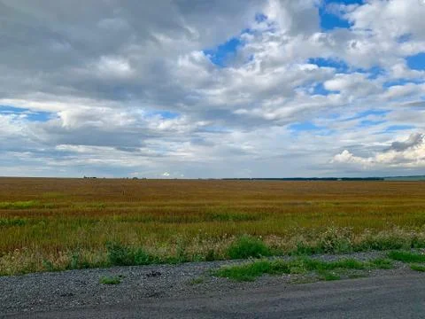 A large green field with clouds in the sky. Country road in the fields. Summer Stockfoto's