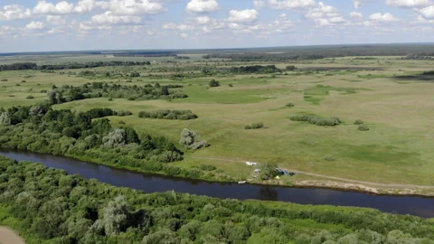 A large green field with trees in the background Video stock 147664059