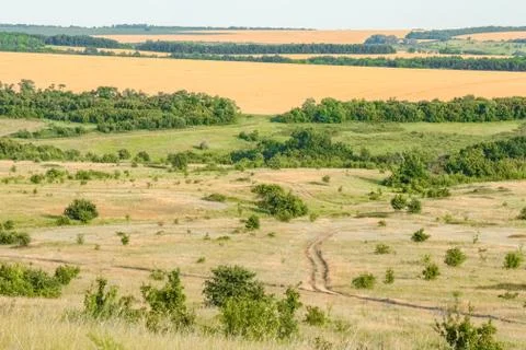 A large green field with trees in the background. the road that goes into the Stock-Fotos
