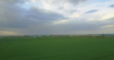 A large green field of wheat from a height of flight Stock Footage 129865709
