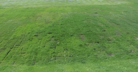 A large green lawn Stock-Footage 91349623