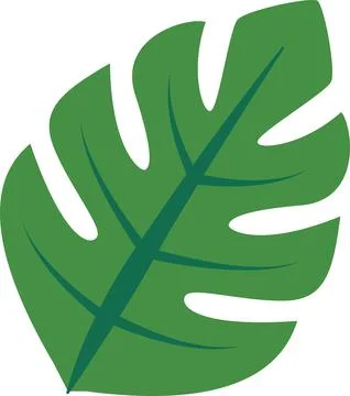Large Green Leaf With Distinct Shapes and Lines on a Light Background Stock Illustration