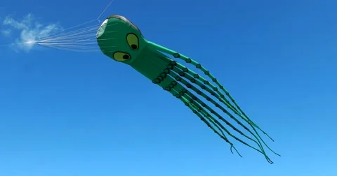 A large green octopus kite flies in the sky, in the wind Video stock 66781689