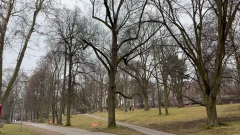 A large green park in cloudy weather Stock Footage 304609601