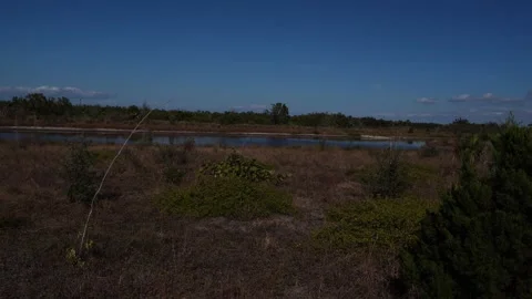 A large green plain with small vegetation and a few small trees in the Видео 331228346