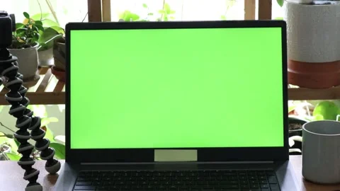 Large green screen on laptop Stock-Footage 236742553