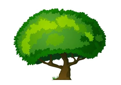 Large green spreading deciduous tree Stock Illustration