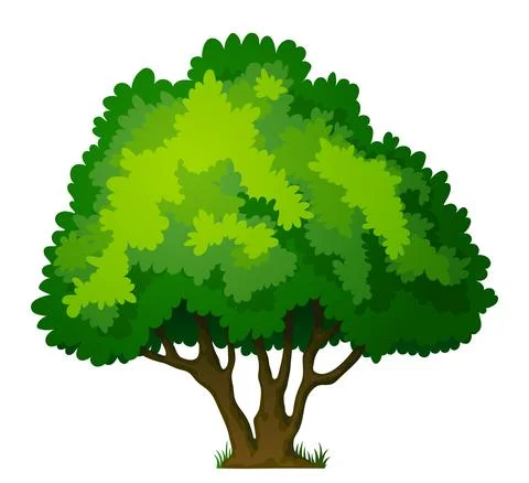 Large green spreading deciduous tree Stock Illustration