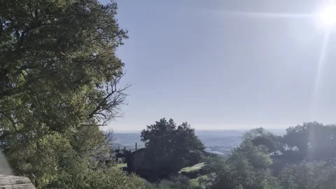 Large green tree backlit on the left with panoramic view 動画素材 346754959