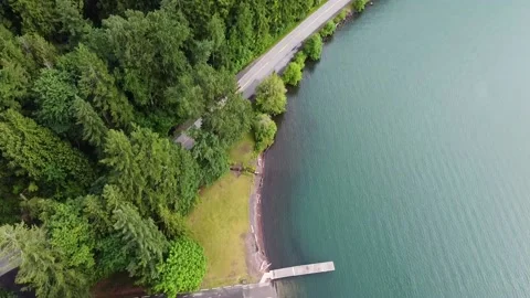 A large green tree Stock Footage 155459929