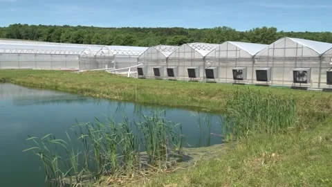 Large Greenhouse next to a pond Stock Footage 250193390