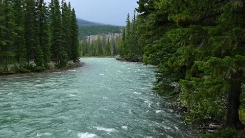A large greenish colored mountain river cascades through a forest  Stock Footage 139659952