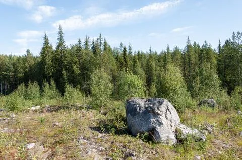 Large grey stone on the forest edge Stock Photos