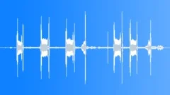 Large Ground Finch CallsSound Effect