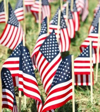 Large Group Of American Flags - Vertical Stock Photos