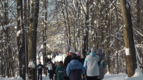 A large group of children of different ages go through the park in winter Video stock 264122178