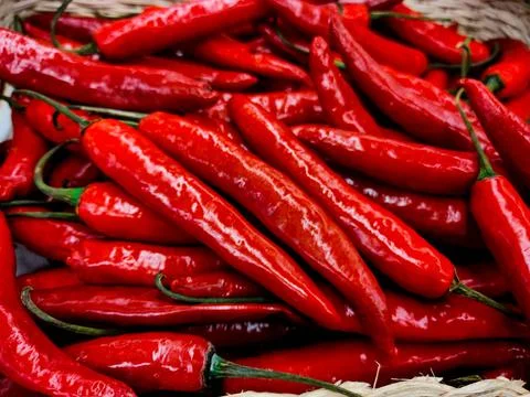 Large group of chilli Stock Photos